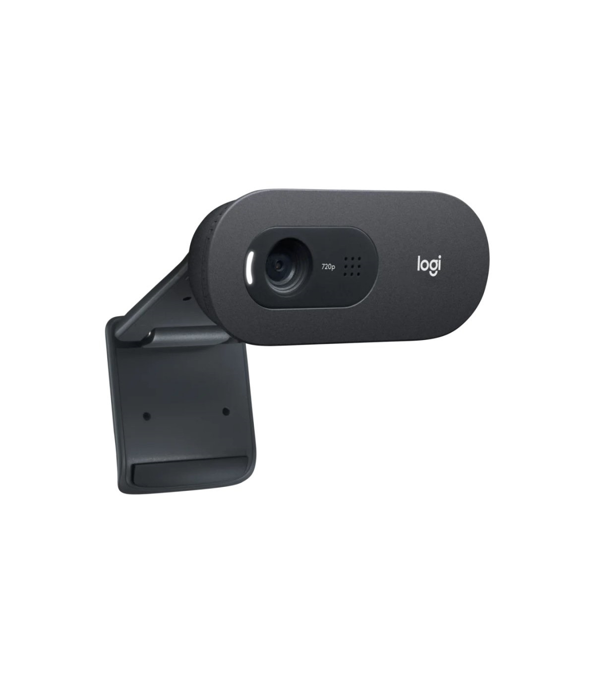 Logitech Webcam c505E 1280*720 Negro