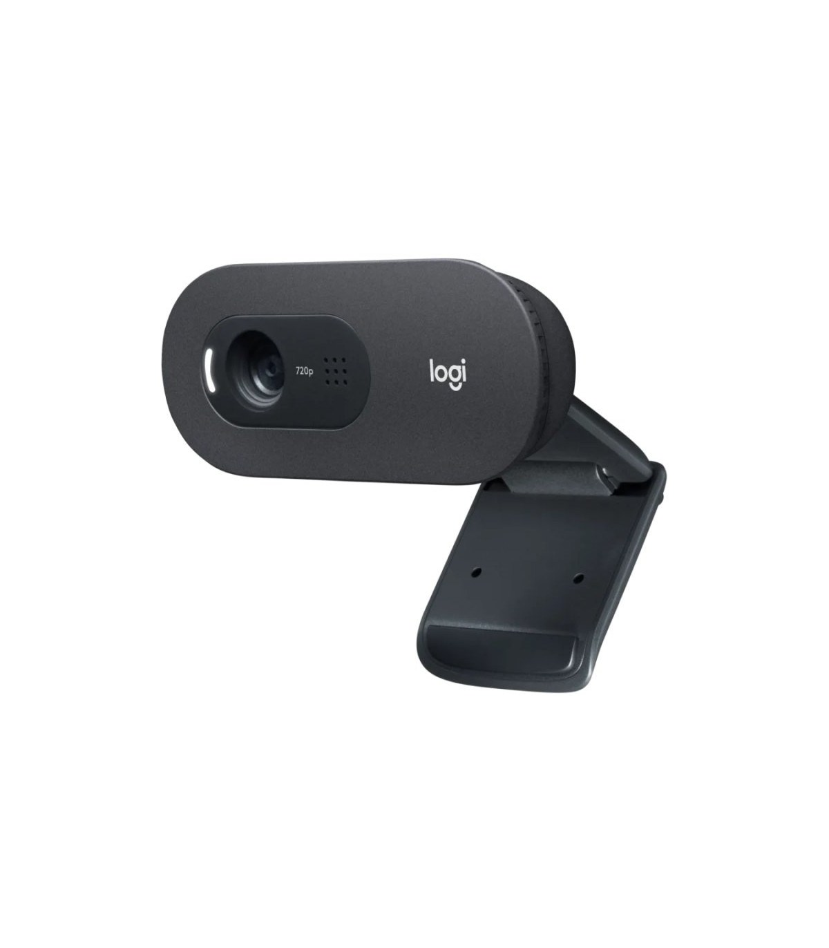 Logitech Webcam c505E 1280*720 Negro