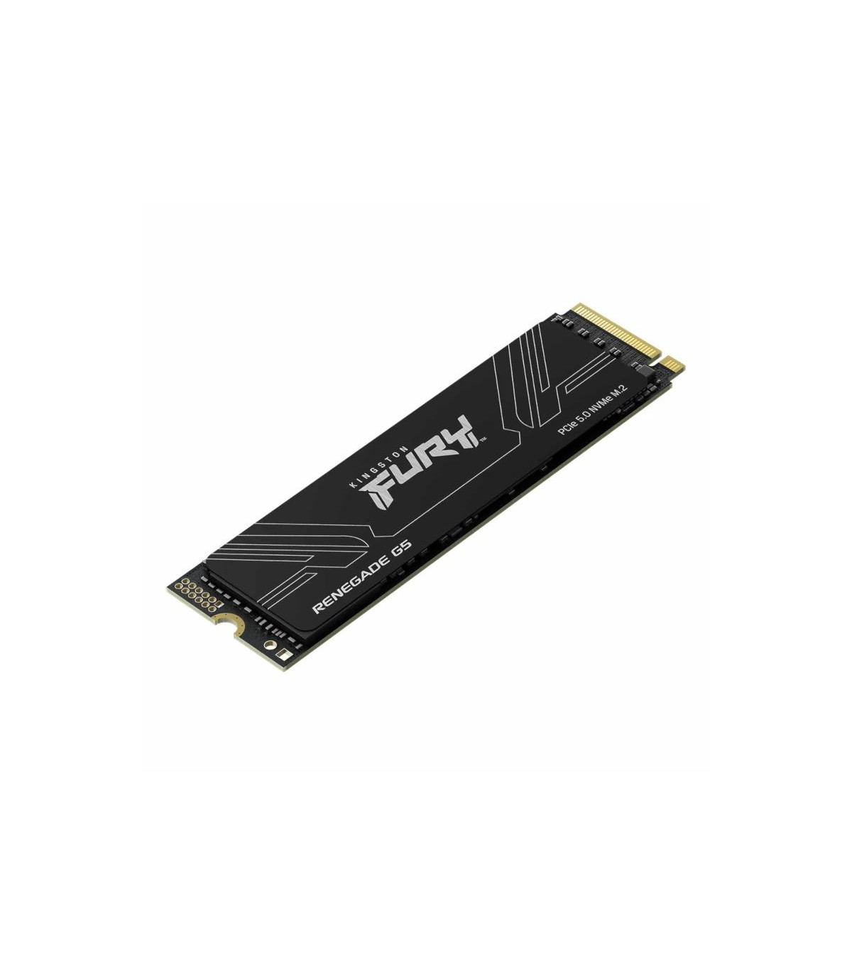 Kingston Fury Renegade G5 SSD 1TB PCIe5.0 14200M-s