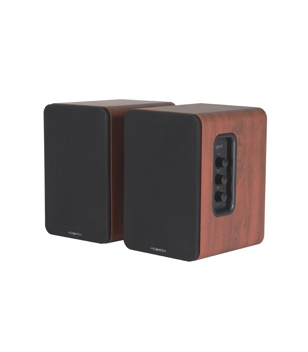 iggual Altavoces 2.0 50W Bluetooth 5.3 Home Studio