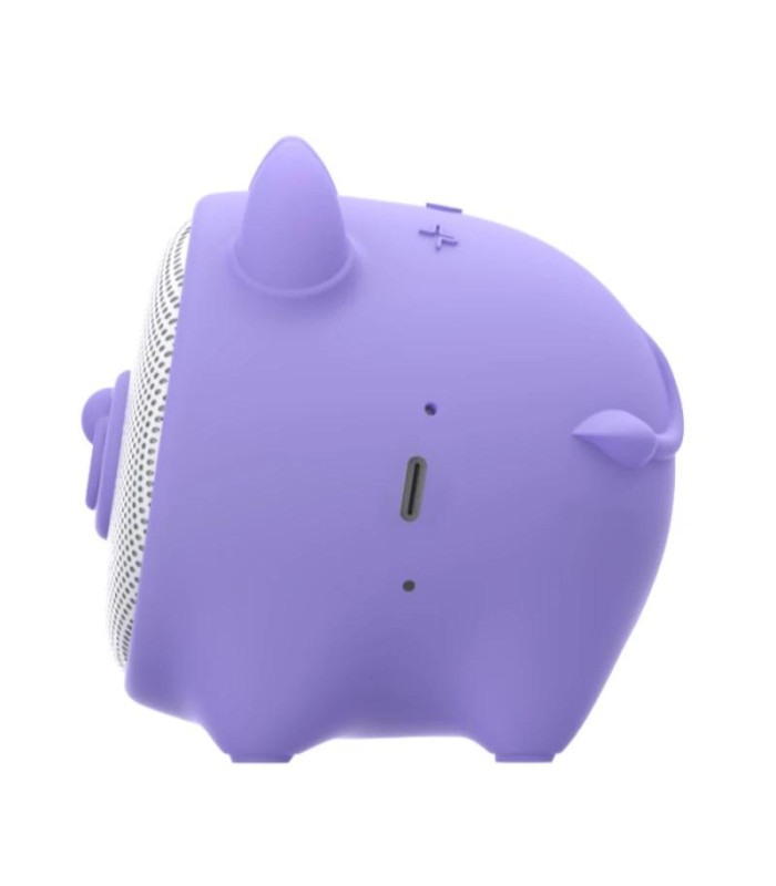 Celly Altavoz inalámbrico Toro