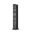 NGS Torre Sonido SKYCHARM PRO 50W BT Negro