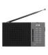 SPC Jetty Lite AM/FM Radio Gris
