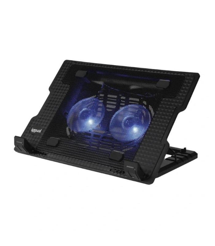 iggual Refrigerador portátil 2 ventiladors RP2V17A