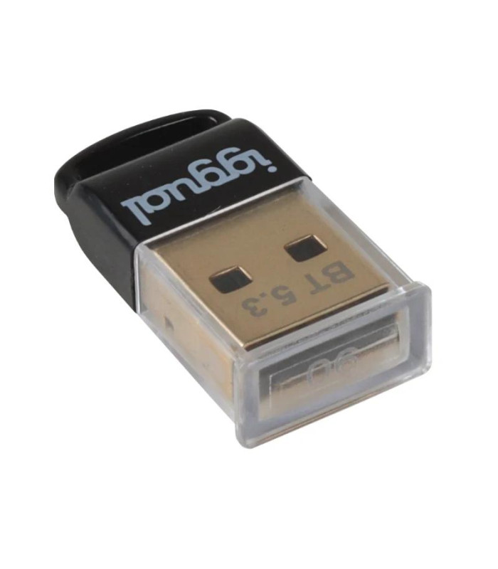 iggual Adaptador USB 2.0 mini Bluetooth 5.3