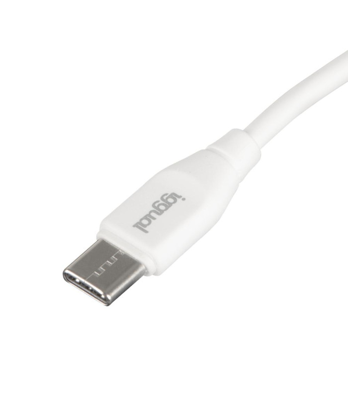 iggual Cable USB-C/USB-C 100 cm blanco Q3.0 3A 60W