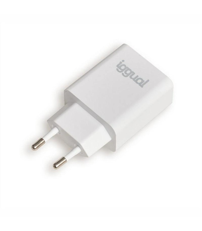 iggual Cargador rápido USB PD tipo C 20W