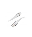 Intenso | Cable USB-A Lightning|1,5m|A315L|blanco