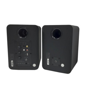 Approx Altavoces Pared Dig.2x30W Bth+ kit de mon.