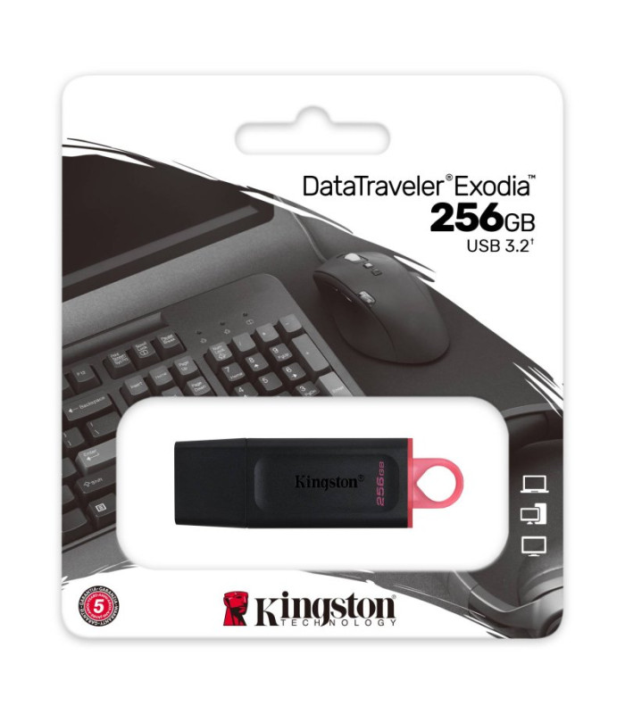 Kingston DataTraveler DTX 256GB USB 3.2 Gen1 Negro