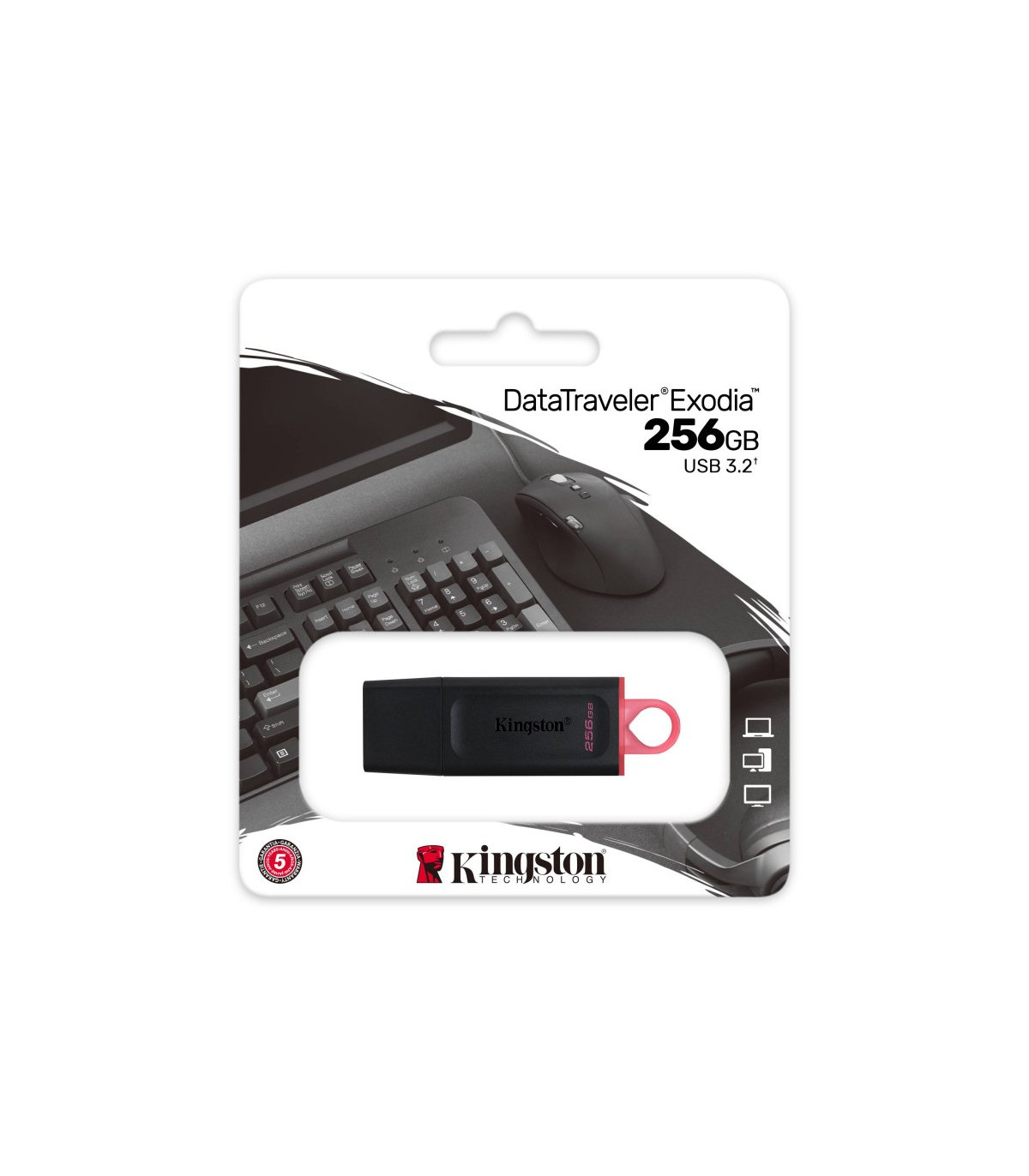 Kingston DataTraveler DTX 256GB USB 3.2 Gen1 Negro