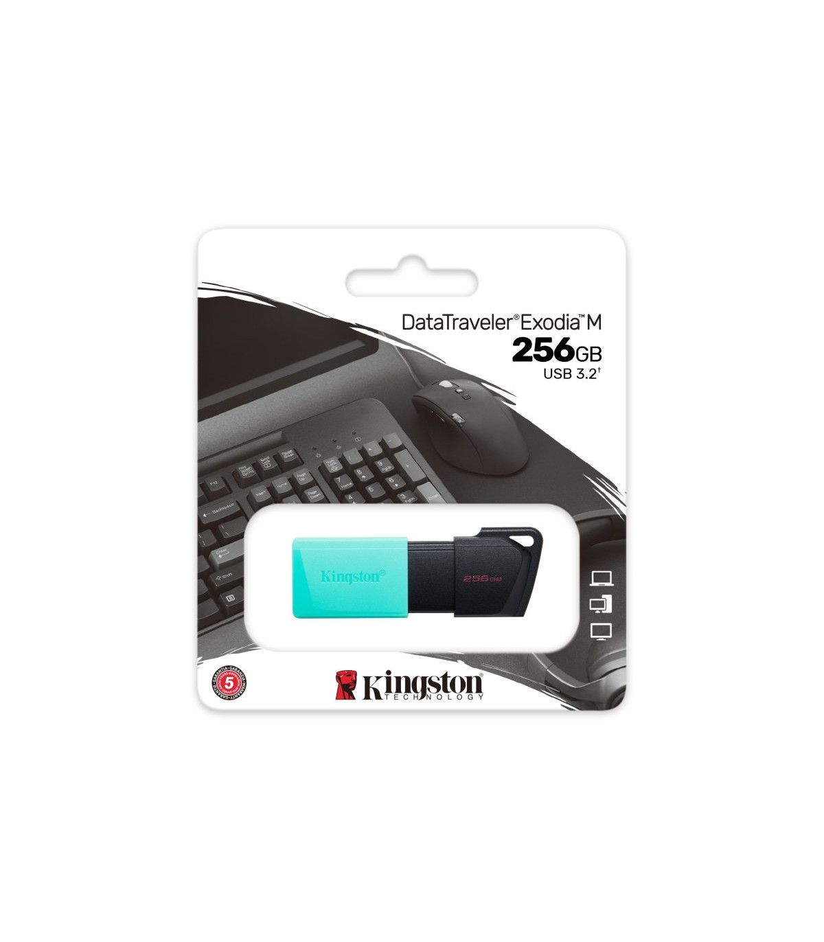 Kingston DataTraveler DTXM 256GB USB 3.2 Gen1 Turq