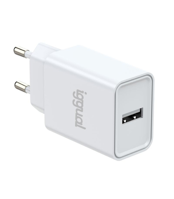 iggual Cargador de pared 1xUSB 5V/2.4A (12W)