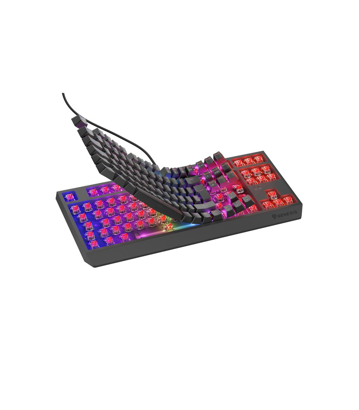 Teclado gaming genesis thor230 tkl rgb usb
