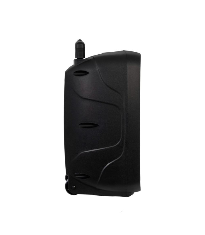 Altavoz portatil con microfono fonestar malibu - 308 - 20w rms