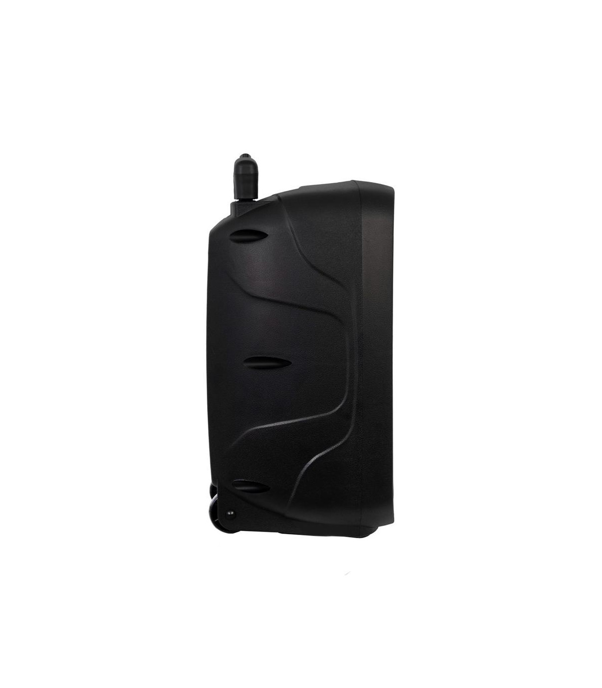 Altavoz portatil con microfono fonestar malibu - 308 - 20w rms