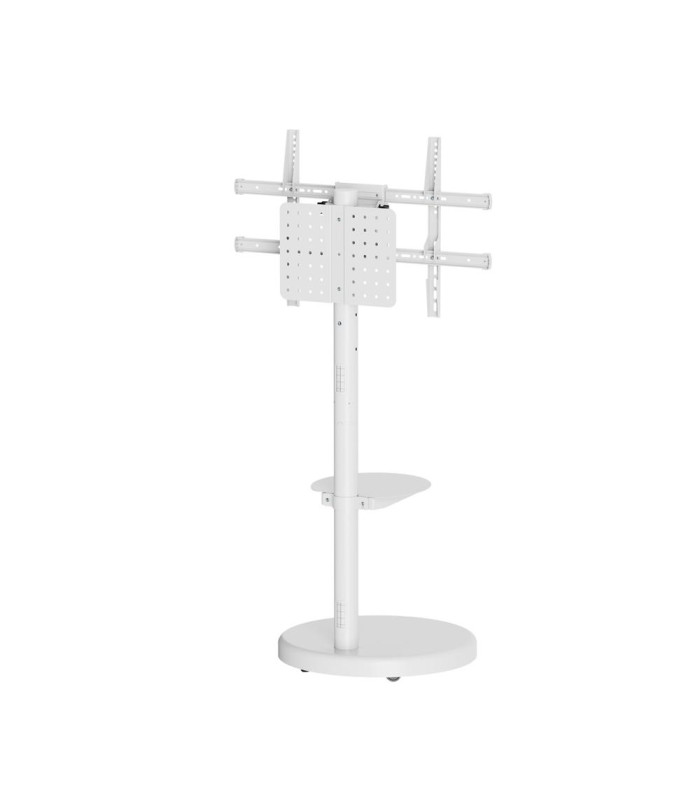 Soporte suelo con ruedas ewent vesa hasta 86 pulgadas 600x400mm max 50kg