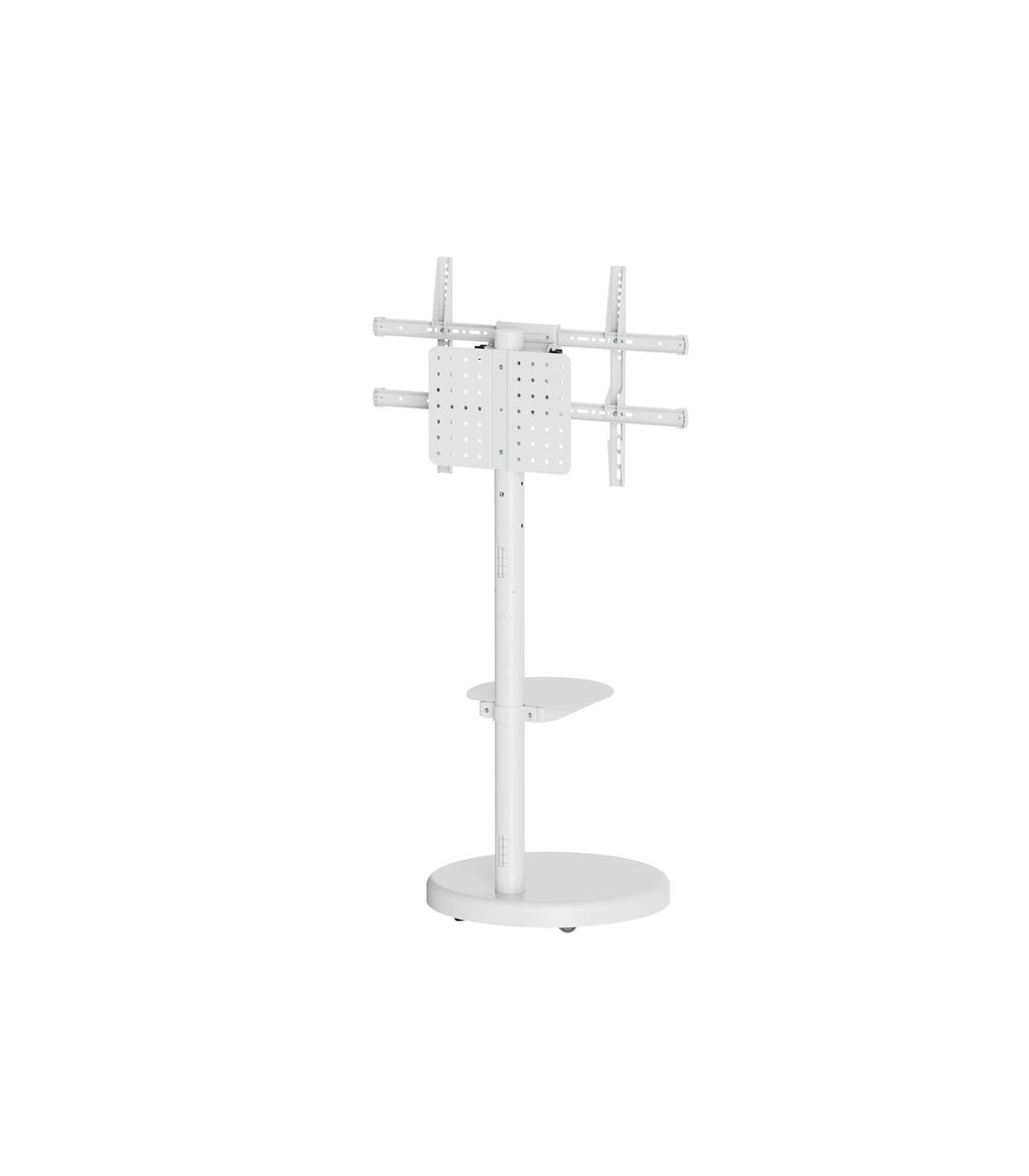 Soporte suelo con ruedas ewent vesa hasta 86 pulgadas 600x400mm max 50kg