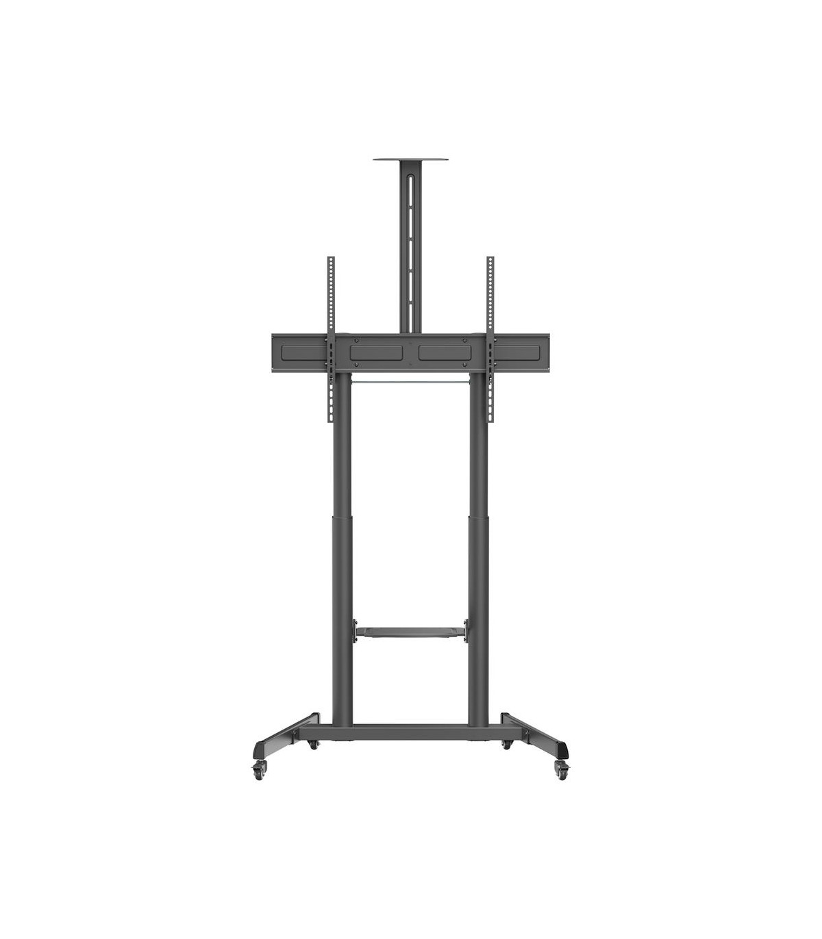 Soporte suelo con ruedas ewent vesa hasta 100 pulgadas 1000x600mm max 120kg