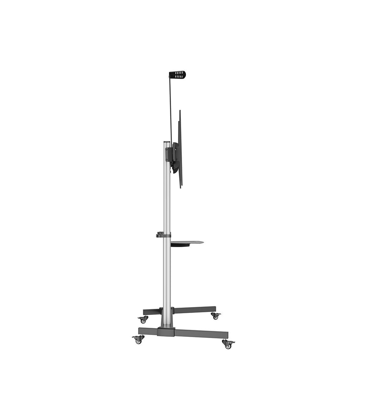 Soporte suelo con ruedas ewent vesa hasta 100 pulgadas 1000x600mm max 100kg
