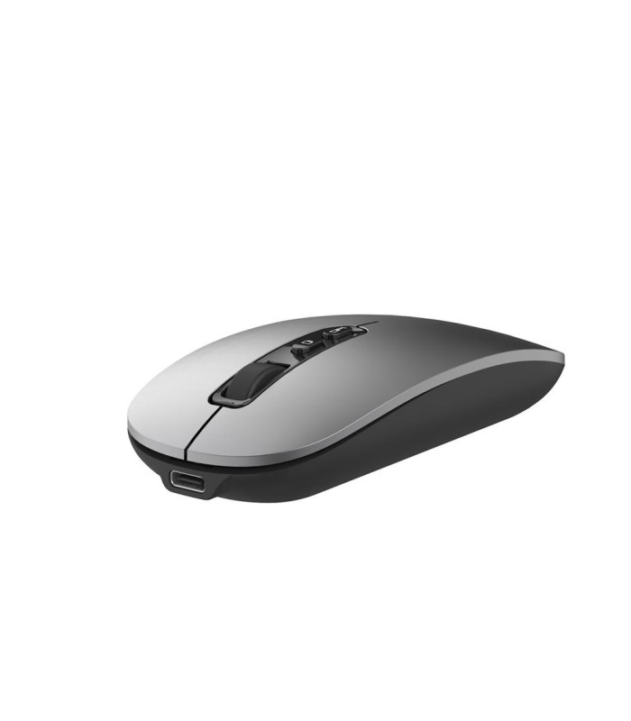 Raton inalambrico ewent ew3207 gris