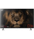 Tv nevir 43 pulgadas led fhd -  nvr - 8840 - 43fhwba -  smart tv webos bluetooth