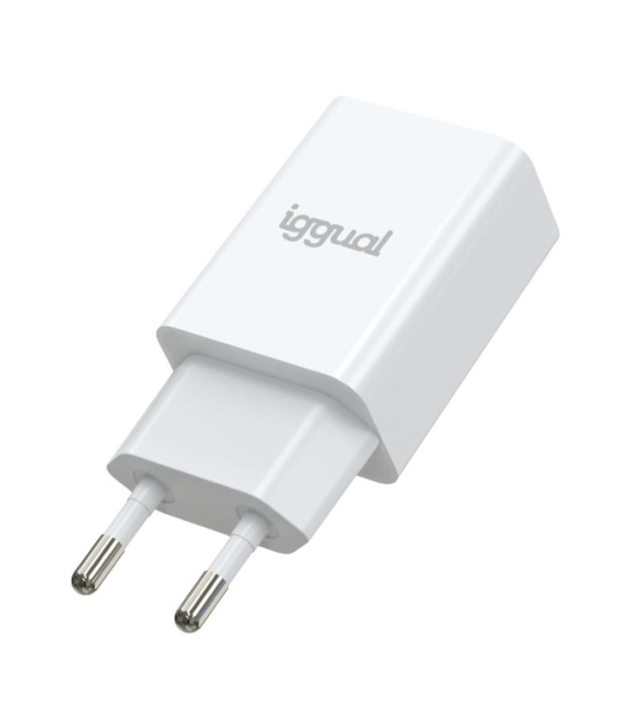iggual Cargador de pared 1xUSB 5V/2A (10W)