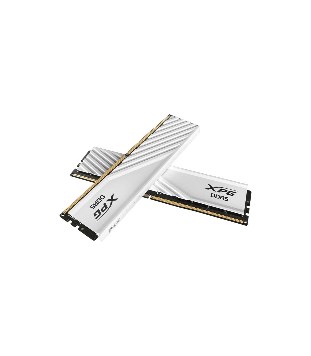 ADATA XPG Lancer DDR5 6000MHz 2x16G CL36  WHITE