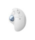 Mouse raton logitech ergo m575 bluetooth & wireless blanco