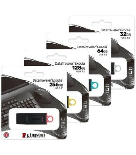 Memoria usb 3.2 kingston 256 gb datatraveler exodia