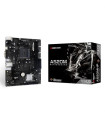 Placa base biostar am4 a520mhp matx