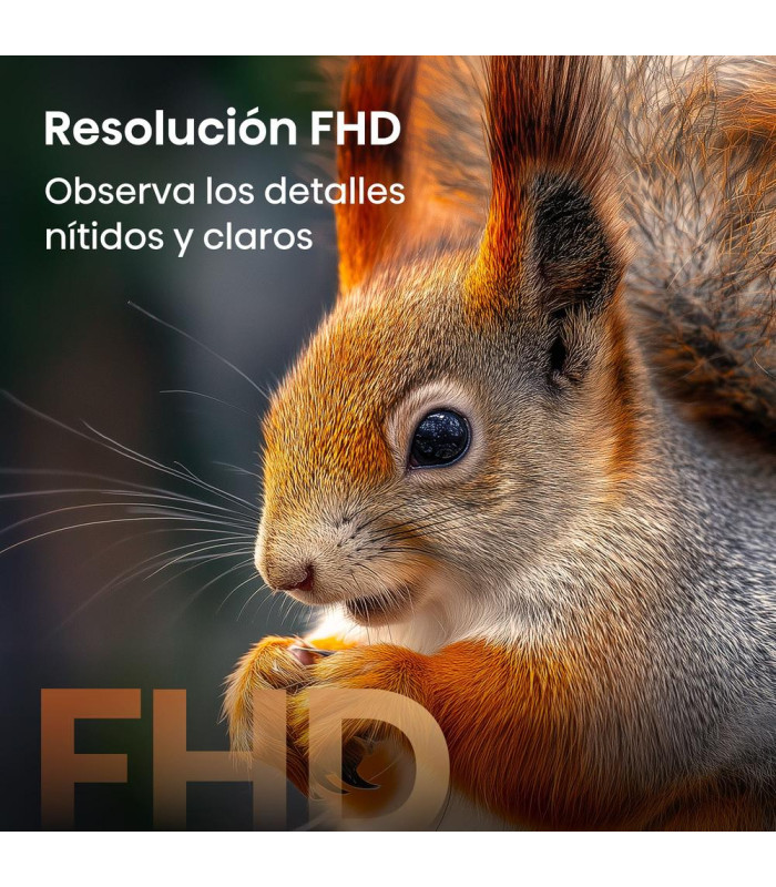 Tv hisense 32 pulgadas qled fhd - 32a5s - smart tv