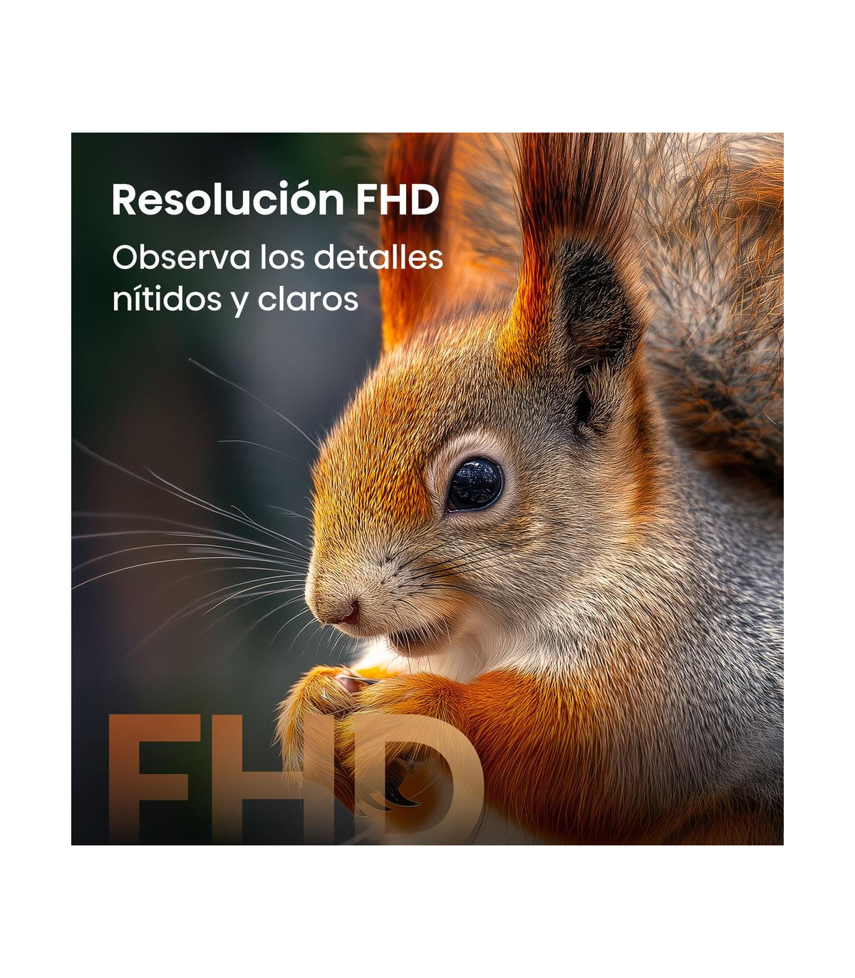 Tv hisense 32 pulgadas qled fhd - 32a5s - smart tv